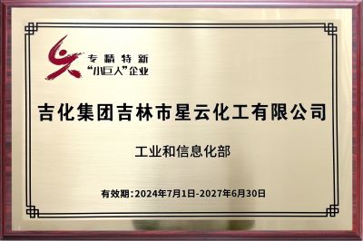 國(guó)家級(jí)“專精特新”小巨人企業(yè)